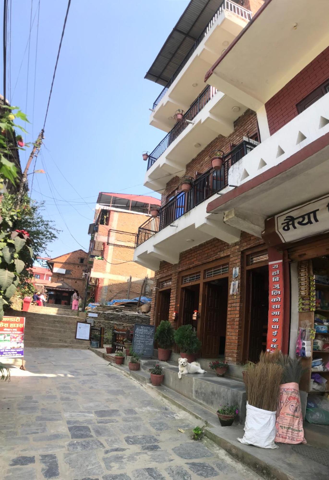 Shristi Hotel&Lodge Bandipur Eksteriør billede